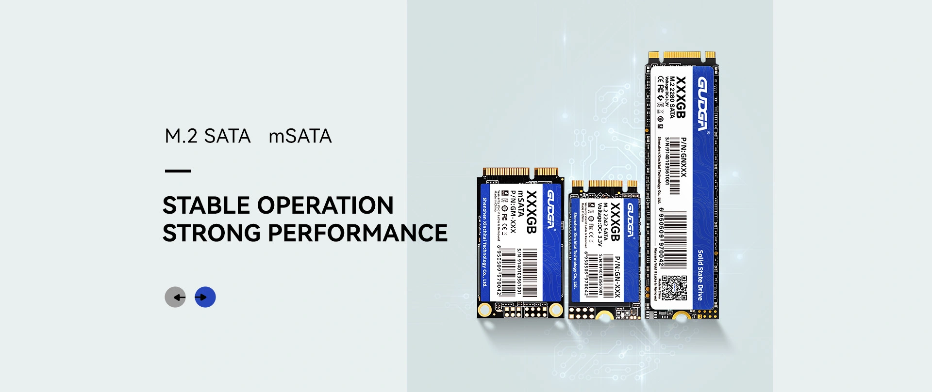चीन छूट M.2 SATA SSD निर्माता