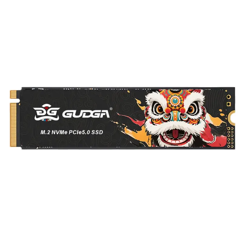 उच्च गति NVME PICE 5.0 14500/10000 आन्तरिक SSD
