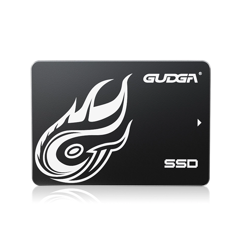 उच्च गति SATA SSD